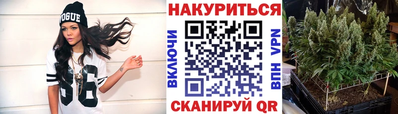 Магазин наркотиков Борзя Кокаин  Альфа ПВП  Каннабис 
