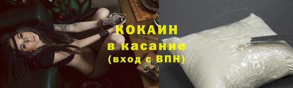дживик Новодвинск