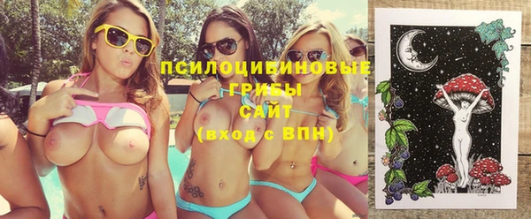 ECSTASY Новокубанск