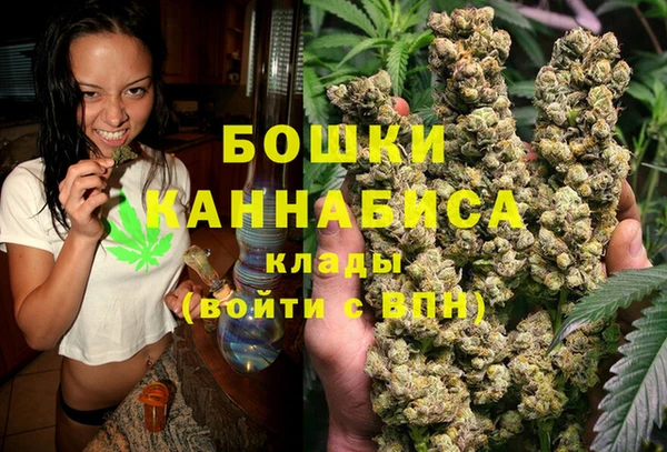 дживик Новодвинск
