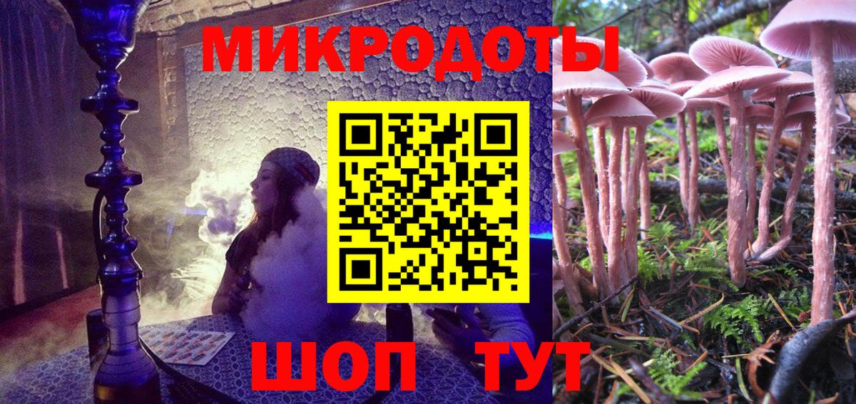 Галлюциногенные грибы мухоморы  купить закладку  Борзя  Вход с VPN 
