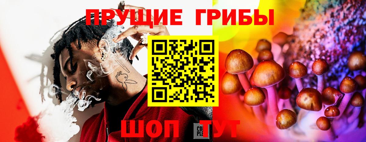 Галлюциногенные грибы MAGIC MUSHROOMS Борзя